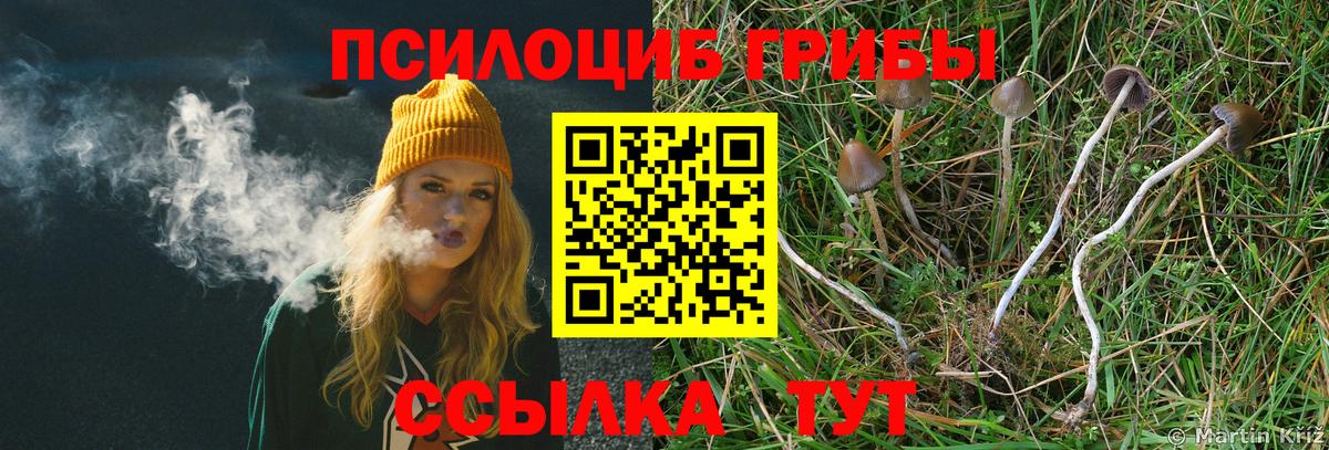 Галлюциногенные грибы мухоморы Чернушка