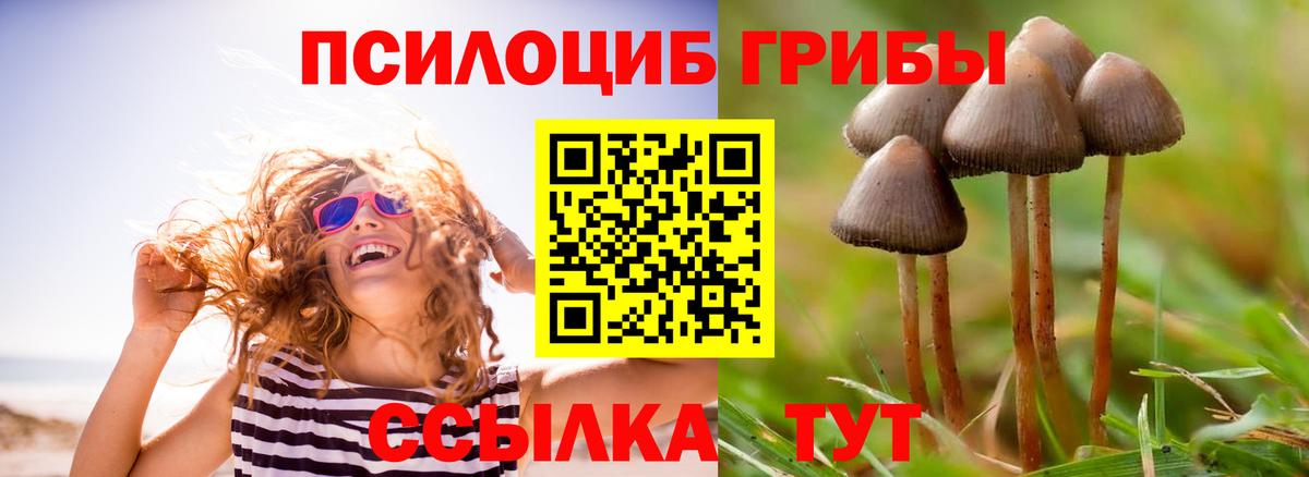 Галлюциногенные грибы MAGIC MUSHROOMS  Галлюциногенные грибы мухоморы  Вход с VPN  закладка  Чернушка 