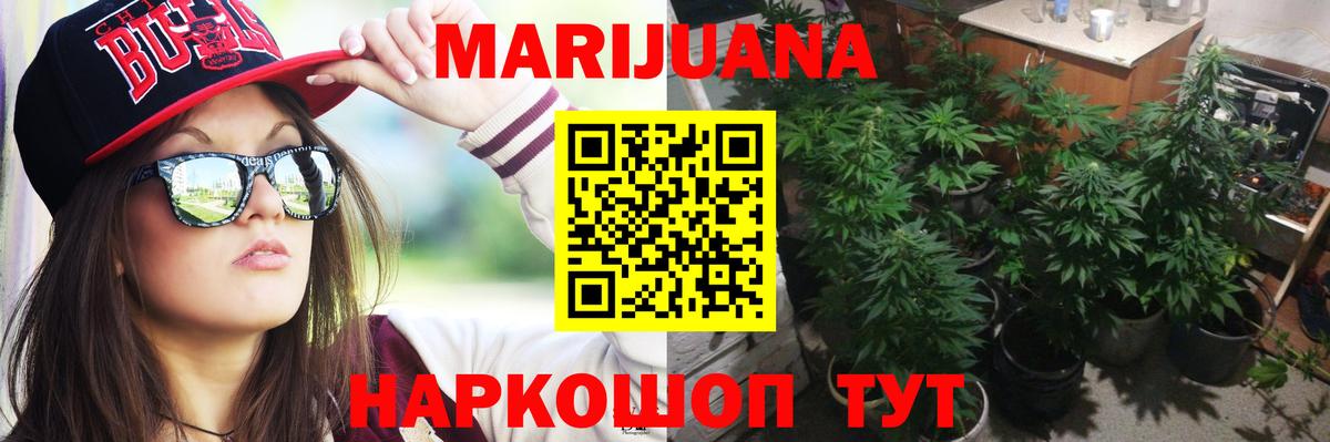 Канабис SATIVA & INDICA Чернушка