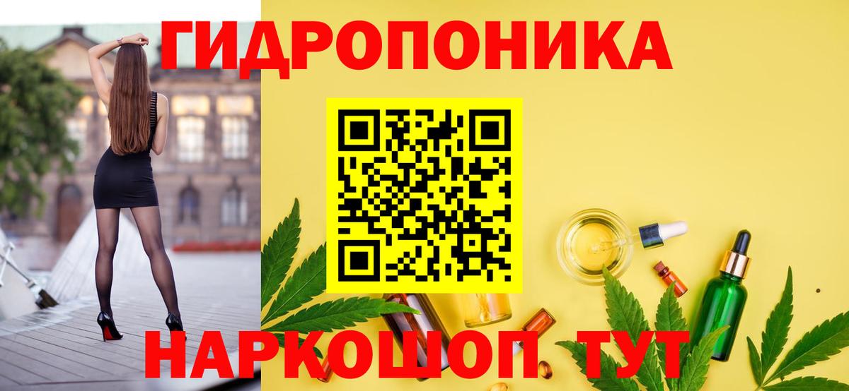 Бошки марихуана семена  Вход с VPN  Каннабис White Widow  Чернушка 